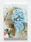 Claris-Primavera&nbsp;&nbsp;Acrylic Painting on Canvas w.42×h.29.7×d.3(cm) 2015