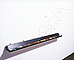 GIFT-Dendrobates&nbsp;&nbsp;w.182×h.7.5×d.8.5(cm)&nbsp;&nbsp;2001&nbsp;&nbsp;Installation view 1