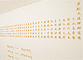 GIFT-Eternal youth and life&nbsp;&nbsp;casting bronze and gold-plated installation view 1-1&nbsp;&nbsp;2005