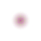 Floating world  2022