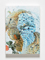 クラリス-プリマヴェーラ  キャンバスにアクリルペイント  w.42×h.29.7×d.3(cm)   2015