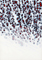 Apoptosis test work03   キャンバスにアクリルペイント  w.14.8×h.21×d.2(cm)  2011